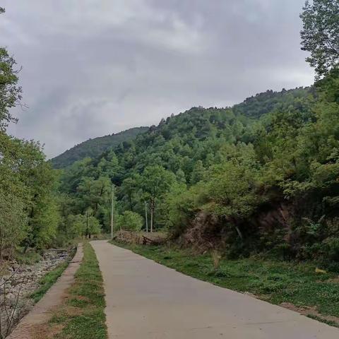 潘河乡：“三五”创建下真功美丽乡村入画来