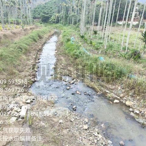 2022年6月14日草蓬岭至大圆桥巡河情况(孙荟景）