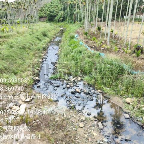 2022年5月25日草蓬岭至大圆桥巡河情况(孙荟景)