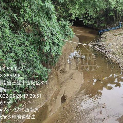 2022年5月26日草蓬岭至大圆桥巡河情况(孙荟景)