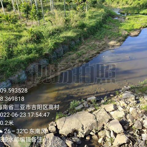 2022年6月23日草蓬岭至大圆桥巡河情况(孙荟景）