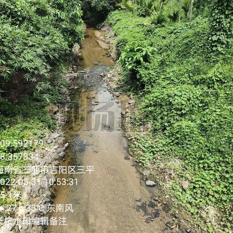 2022年5月31日草蓬岭至大圆桥巡河情况(孙荟景)