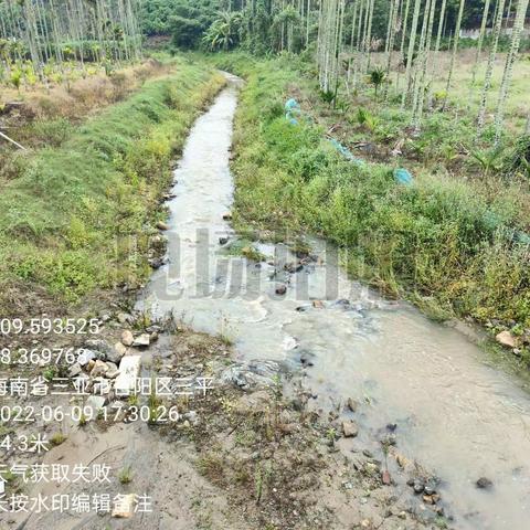 2022年6月9日草蓬岭至大圆桥巡河情况(孙荟景）