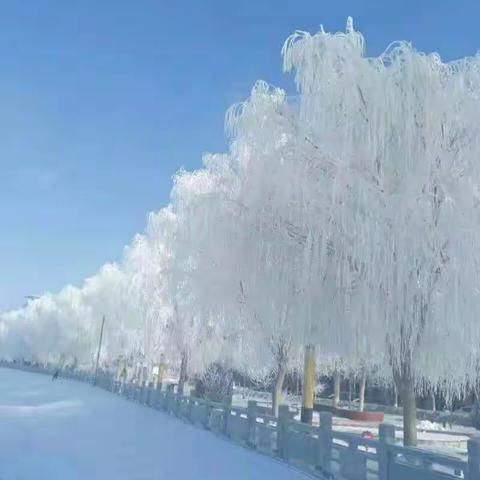 昨夜飞琼千万缕，谁剪条条晴雪?冰羽晶莹，霓裳窈窕，欲舞高寒阙。