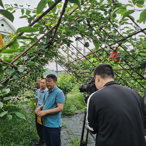 黄新忠研究员科特派服务建宁果业显成效