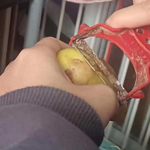 我是池阳小学四年级一班郑伊然，我正在参加池阳小学“微实践”活动