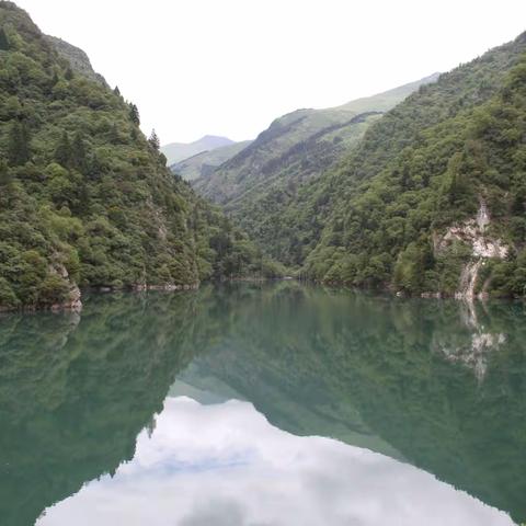 蜀道之旅（一）国宝——熊猫基地