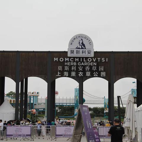 乡情，乡音！——上海薰衣草公园老乡聚集