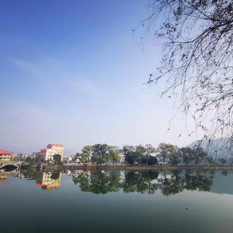 韶关市武江区东岗太阳城小学工会委员会开展热爱生活之冬季游活动