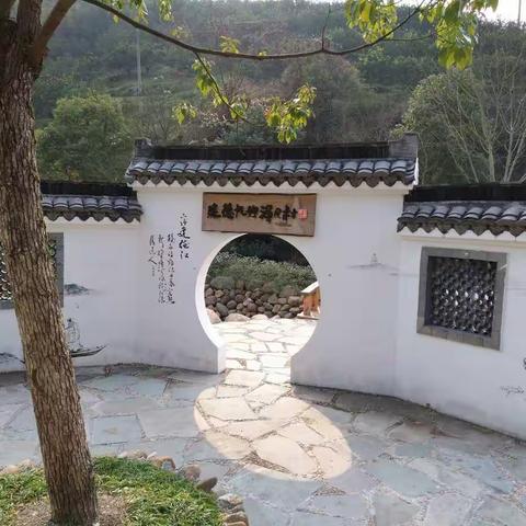 建德踏青之旅