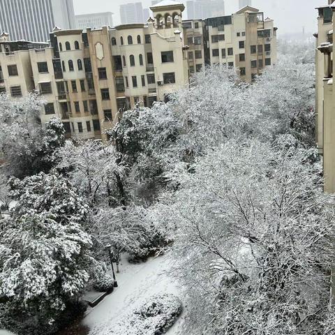 瑞雪纷飞从天降，九江奥园物业扫雪忙。