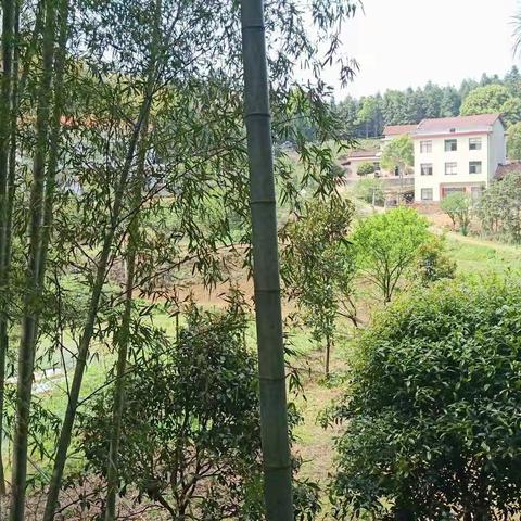扫墓记(2020.04.01)