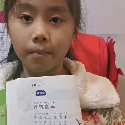 张慕尧10-11单元