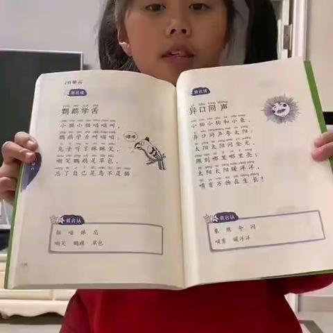 20单元