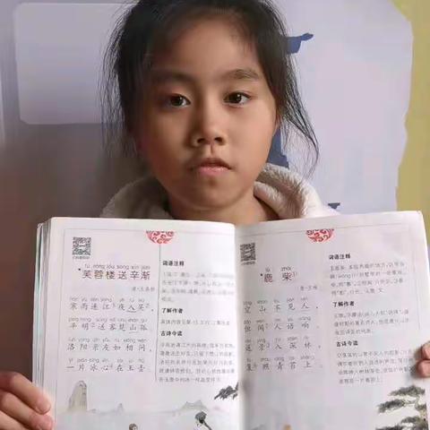 古诗11-20