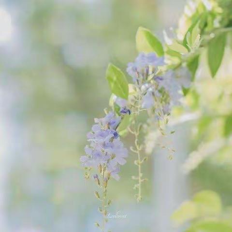 《夏日限定，来日方长》——🌼济南幼高专幼教集团港新幼儿园大班级部（推荐篇五十九）