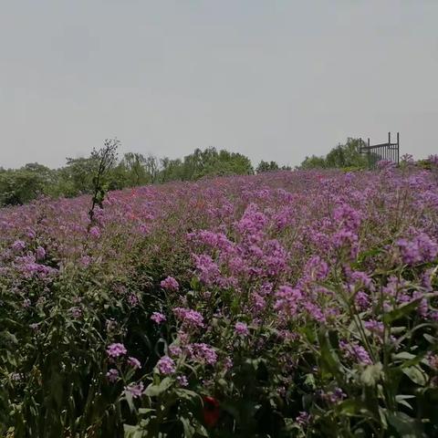 一瓶有温度的牛奶