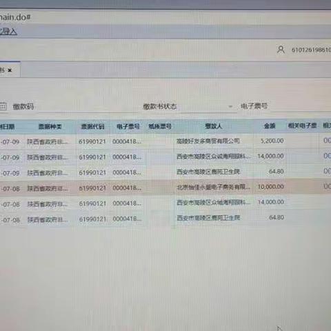 直接扫码缴费 方便快捷有效                                           高陵区非税收入收缴新系统投入使用