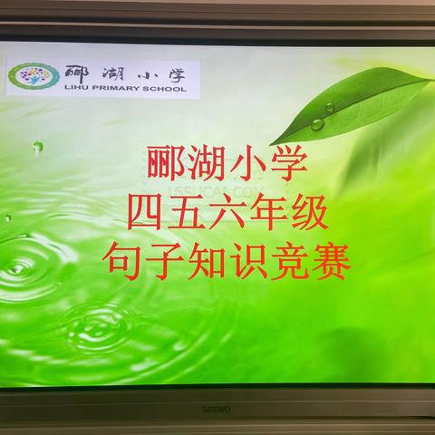 学海无涯勤是岸，云程有路志为梯——郦湖小学句子知识竞赛