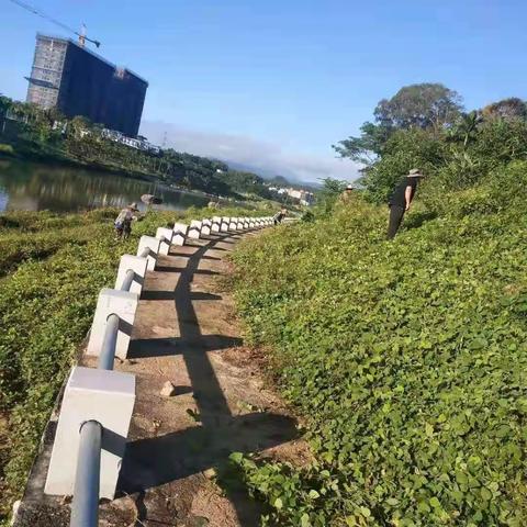 南圣镇开展节前河道卫生整治工作