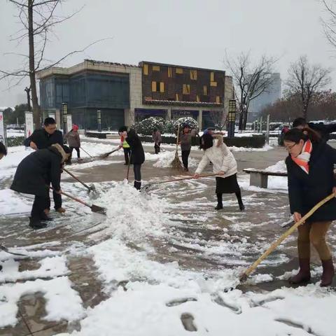 生态局高效组织开展城市绿地清雪除障工作