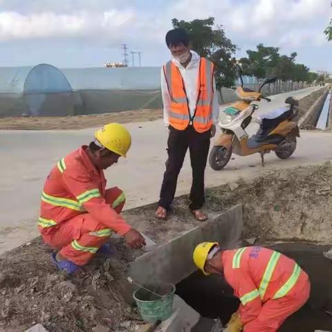 崖州区3月22日田洋管护工作报告