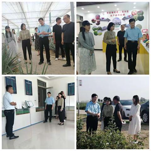 6月1日下午，区政协副主席王奉昌到南王店镇、冉堌镇、黄店镇调研特色乡村旅游工作