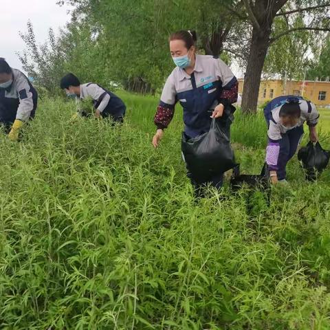 “粽”情欢乐  端午安康