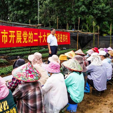 孙子斌同志到番阳镇开展党的二十大精神宣讲，推进党的二十大精神“声入人心”，促进乡村全面振兴