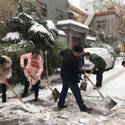 临潼区统计局“以雪为令” 清雪除冰保路畅