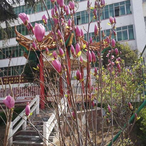 两年磨砺，励志凌绝顶；百日竞渡，破浪展雄风——2022年八年级百日冲刺誓师大会