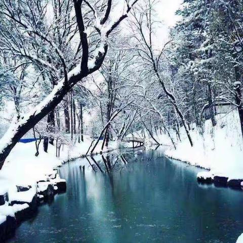 我和冬雪的第一场约会