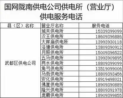 国网陇南市武都区供电公司洛塘供电所营业厅公告