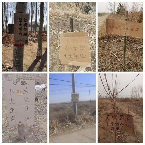 文明祭祀，绿色清明