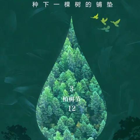 护树春风里 且看山河绿