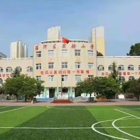 向阳而生 追光不止