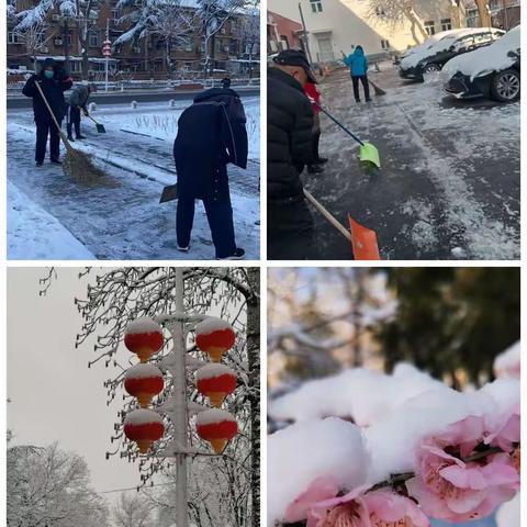 春雪来袭   物业积极铲冰除雪