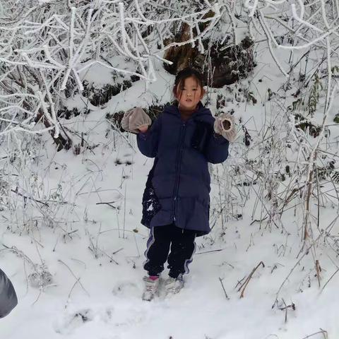 大山顶雪景