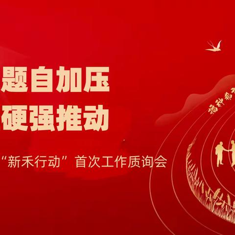 【信合党旗红——红色主业】，直面问题自加压，动真碰硬强推动，——南郑农商银行召开“新禾行动”首次工作质询会