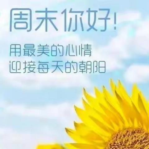 周末生活(平阴四中七年级八班)