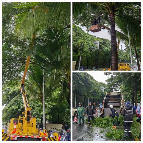 吉阳区园林绿地所做好强降雨等灾害性天气的防范应对工作