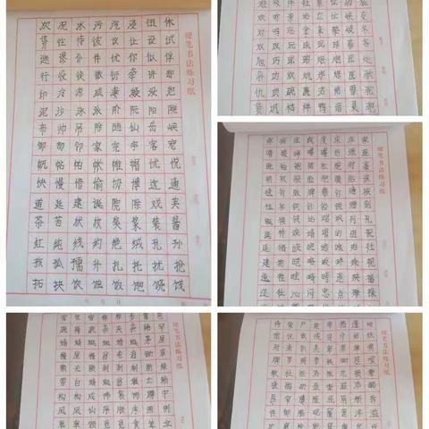 四年级五班王禹的假期生活