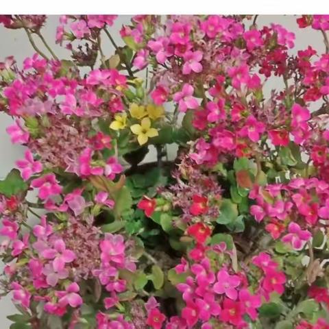 山清水秀的美篇