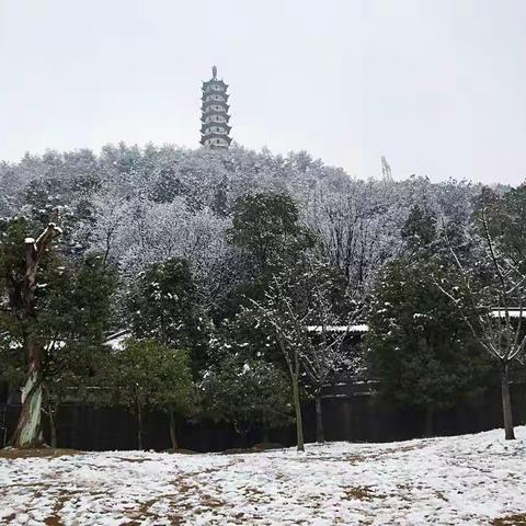 一座城一场雪