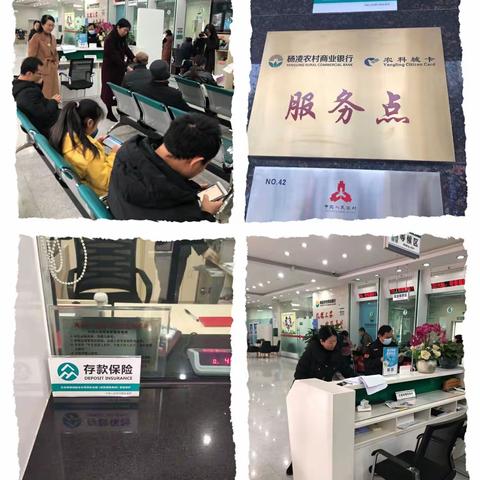 人行杨凌支行刘行长一行莅临我行部署存款保险标识启用工作