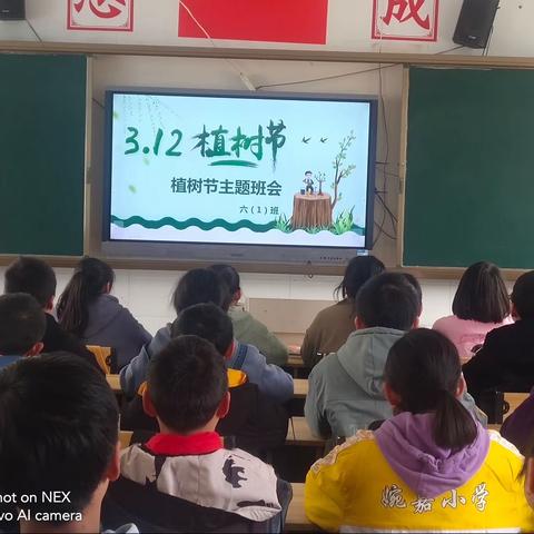 给地球一点绿色，每年植树---婉嘉小学在行动