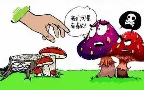 恒丰小学预防毒蘑菇小知识