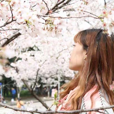春风三月，以桜之名相约武汉