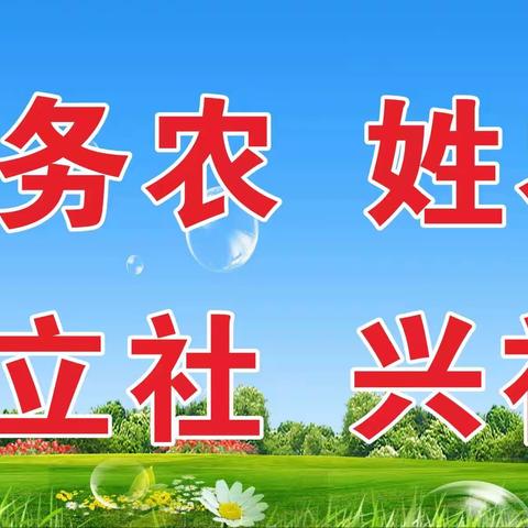 【喜报】临潼区供销联社荣获全省供销社系统2022年度“先进县级社”