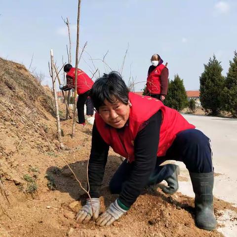 不落耩村的志愿者积极主动栽花、浇水、管护，为你们的辛勤付出点赞！